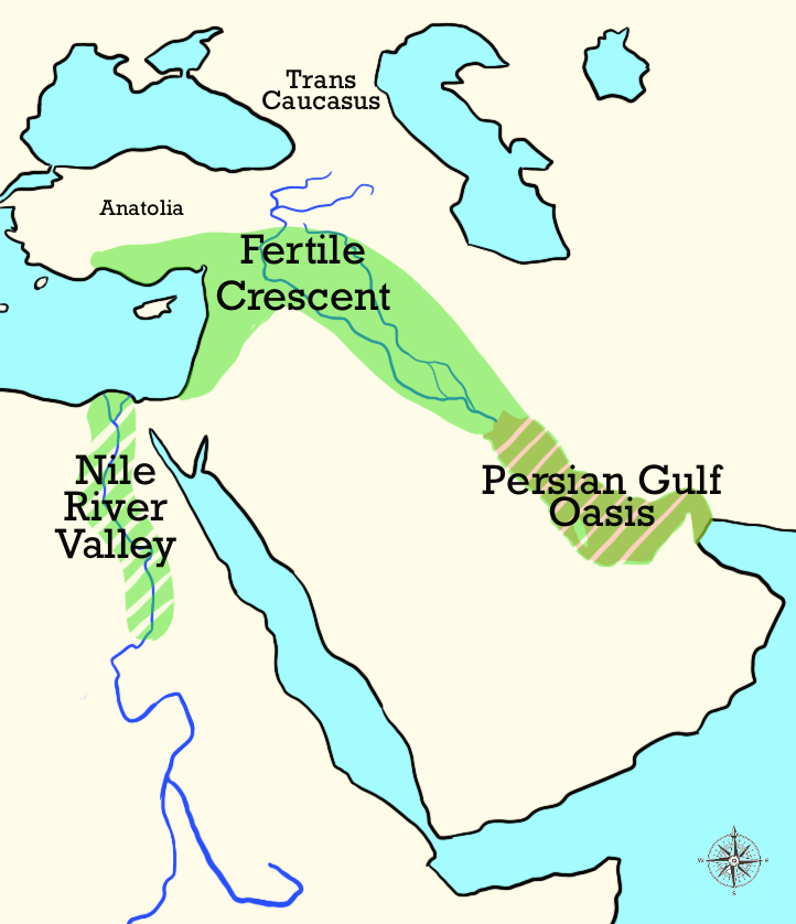 Image from page 19